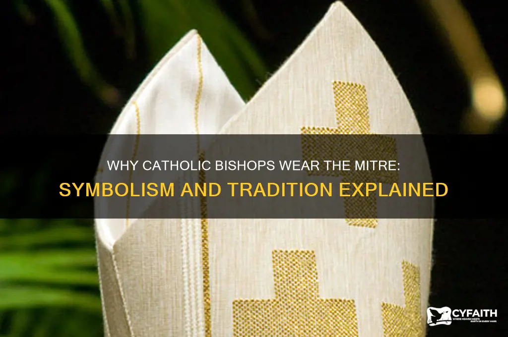 why does the catholic bishop wear a mitre