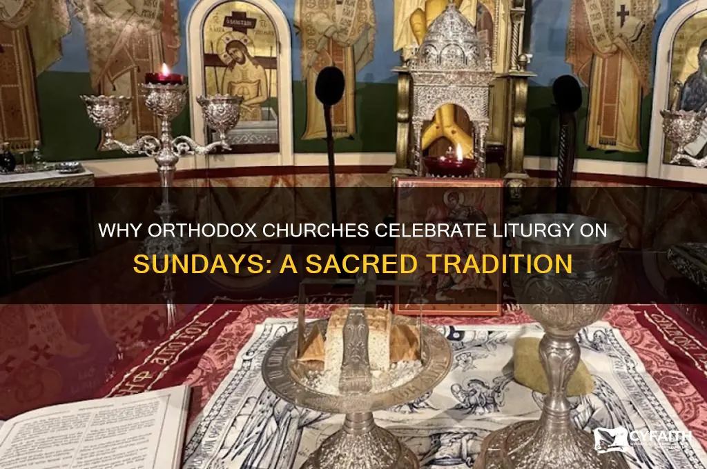 why does the church have liturgy on sunday orthodox