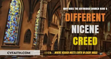 The Orthodox Nicene Creed: Historical Context and Theological Distinctions