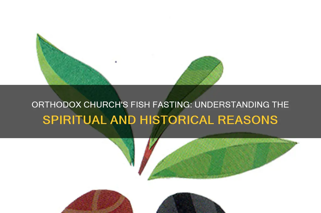 why does the orthodox church not allow fish