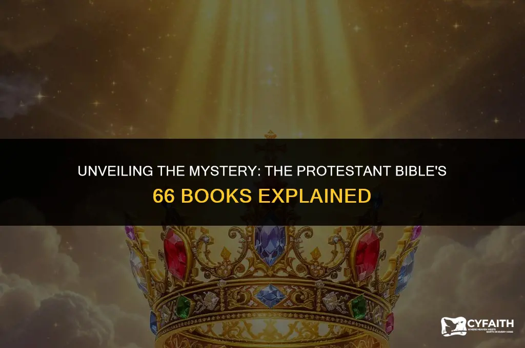 why does the protestant bible have 66 books that