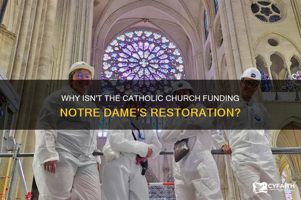 why doesn