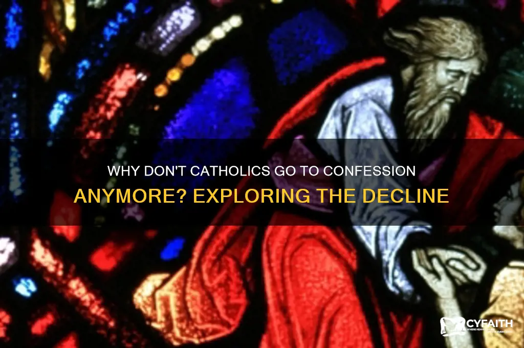 why don t catholics go to confession
