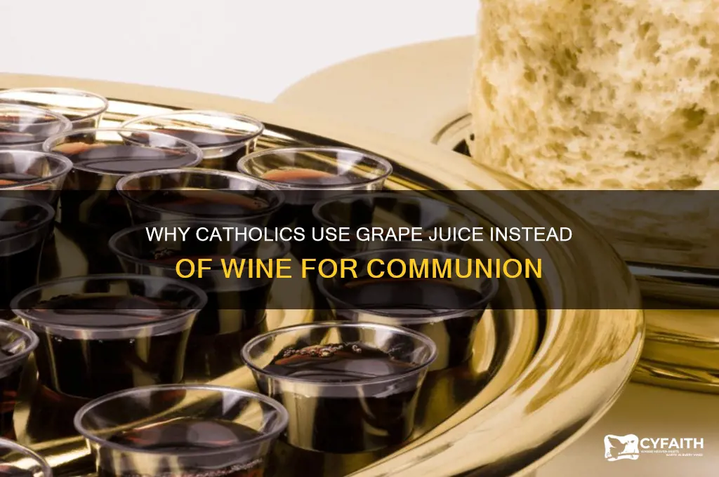 why don t catholics have wine for communion