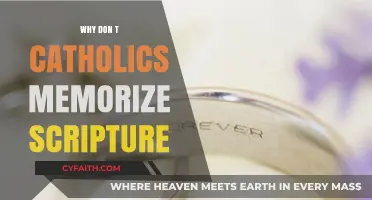 Why Catholics Engage Scripture Differently: Beyond Memorization