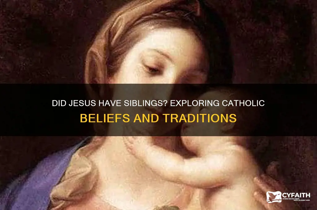 why don t catholics think jesus had siblings
