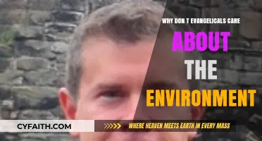 Environmental Stewardship: A Missing Priority in Evangelical Circles?
