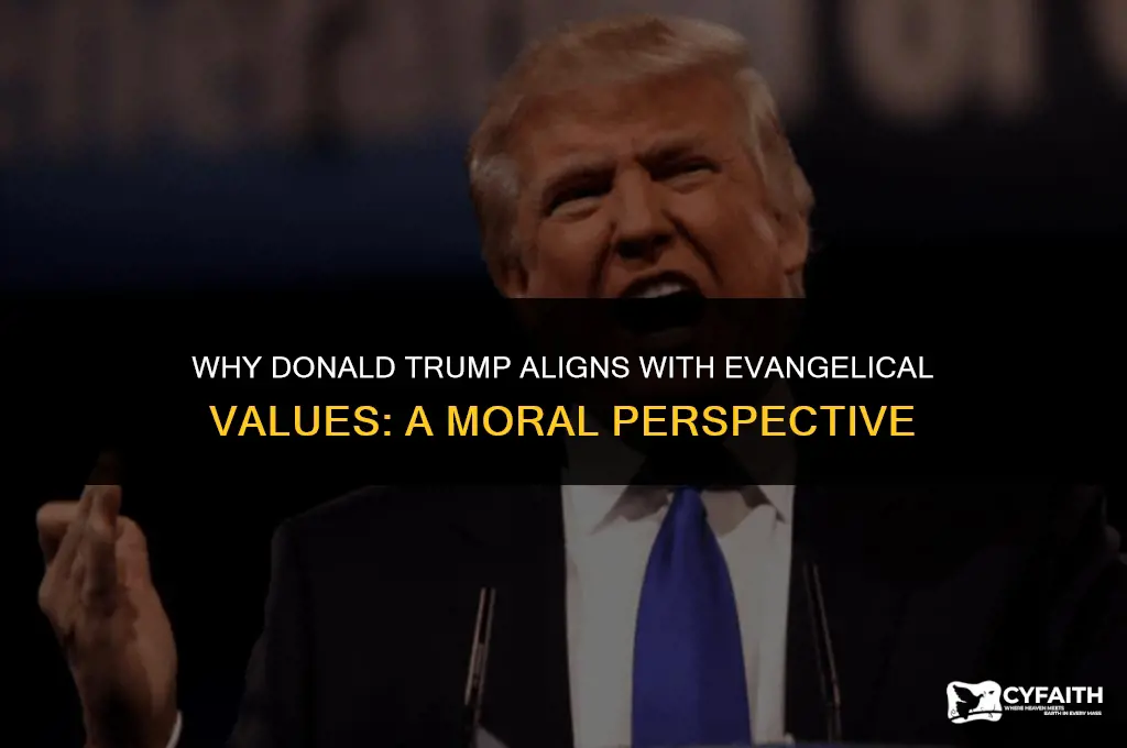 why donald trump is the moral choice for evangelical voters