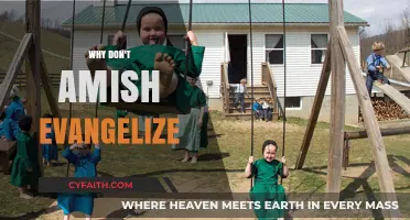 Understanding the Amish: A Look into Their Evangelism Practices