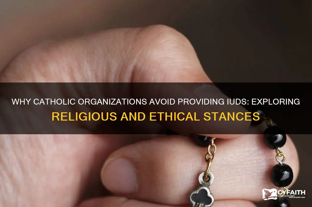 why dont catholic organizations provide iuds