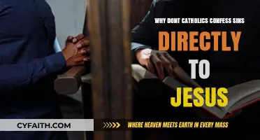 Why Catholics Confess Sins Through Priests, Not Directly to Jesus