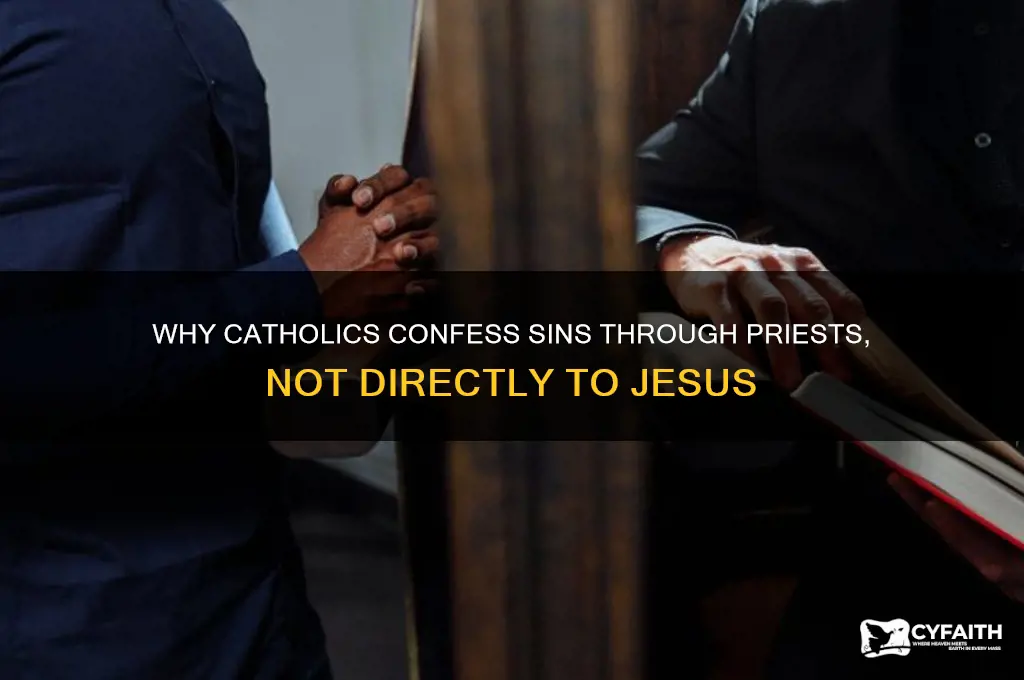 why dont catholics confess sins directly to jesus