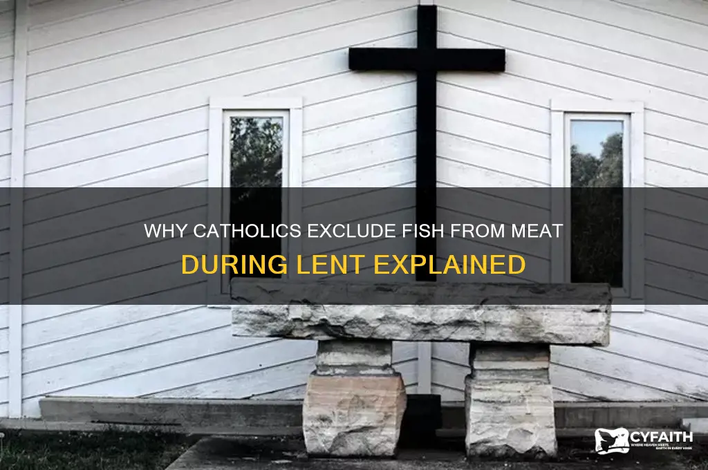 why dont catholics consider fish meat