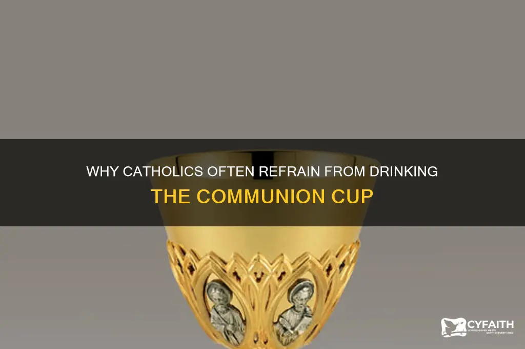 why dont catholics drink from the cup during communion