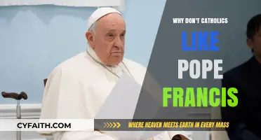 Why Some Catholics Criticize Pope Francis: Divisive Leadership Explored