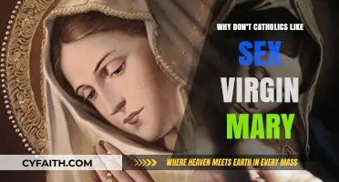 Virgin Mary's Legacy: Catholic Sexuality and the Cult of Chastity
