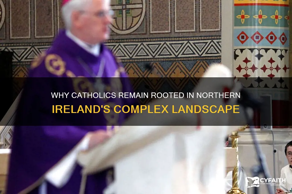 why dont catholics move from northern ireland
