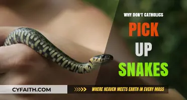 Why Catholics Avoid Snake Handling: Faith, Tradition, and Safety Explained
