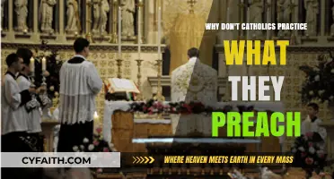 Why Catholics Often Fail to Live Their Faith's Teachings