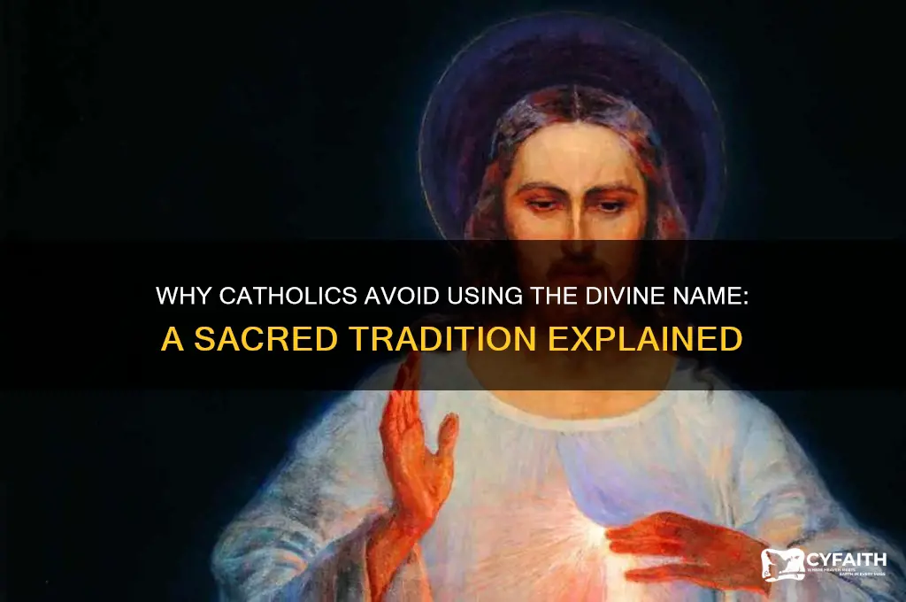 why dont catholics use the divine name