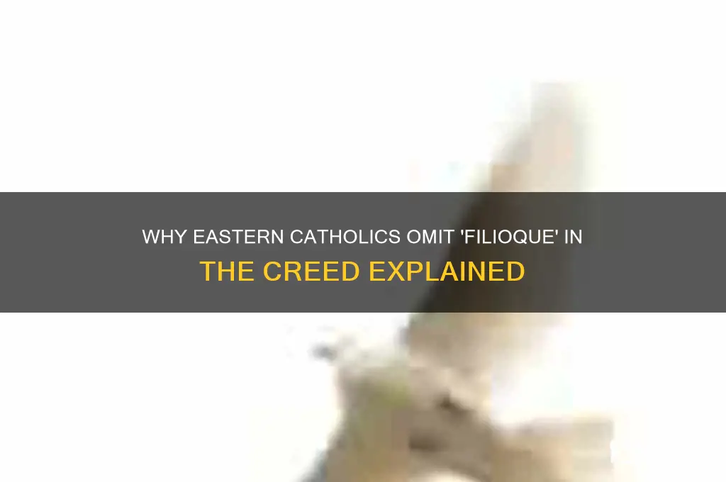 why dont eastern catholics say filioque