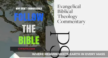 Exploring the Disconnect: Evangelicals and Biblical Interpretation