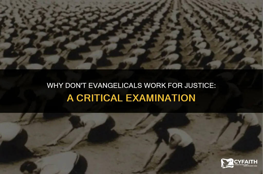 why dont evangelicals work for justice