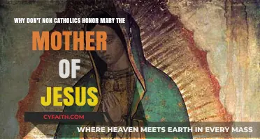 Why Non-Catholics Don't Venerate Mary, Mother of Jesus