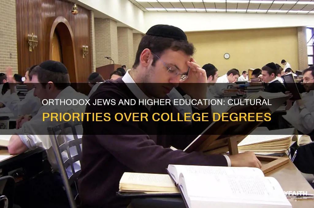 why dont orthodox jews go to college
