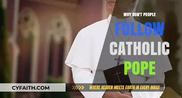 Why Many Catholics Distance Themselves from the Pope's Teachings