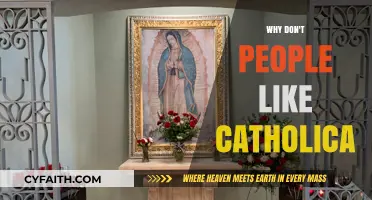 Why Don't People Like Catholicism? Exploring Common Misconceptions and Criticisms