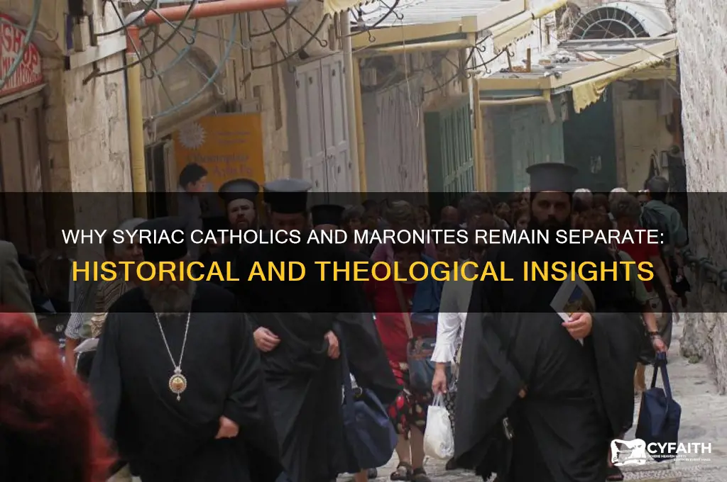 why dont syriac catholic and maronites unite
