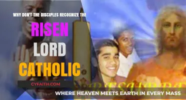 Why Didn't the Disciples Recognize the Risen Lord in Catholic Tradition?