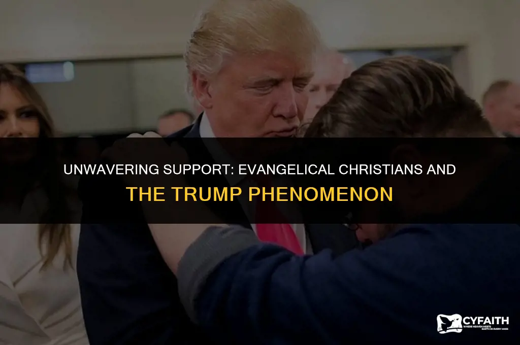 why evangelical christians are behind trump