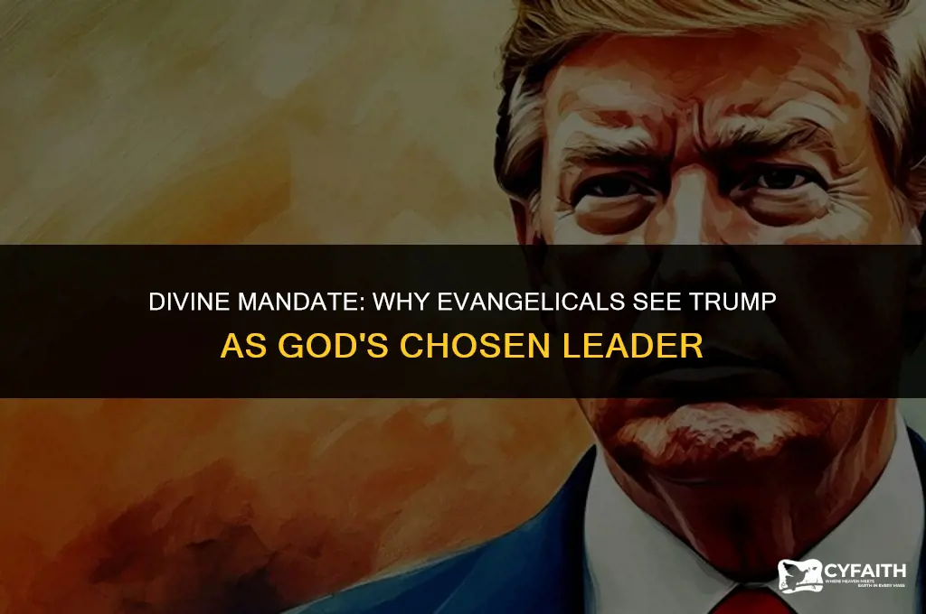 why evangelical christians believe trump is god