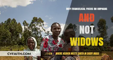 Compassion in Action: Evangelical Priorities in Orphan and Widow Care