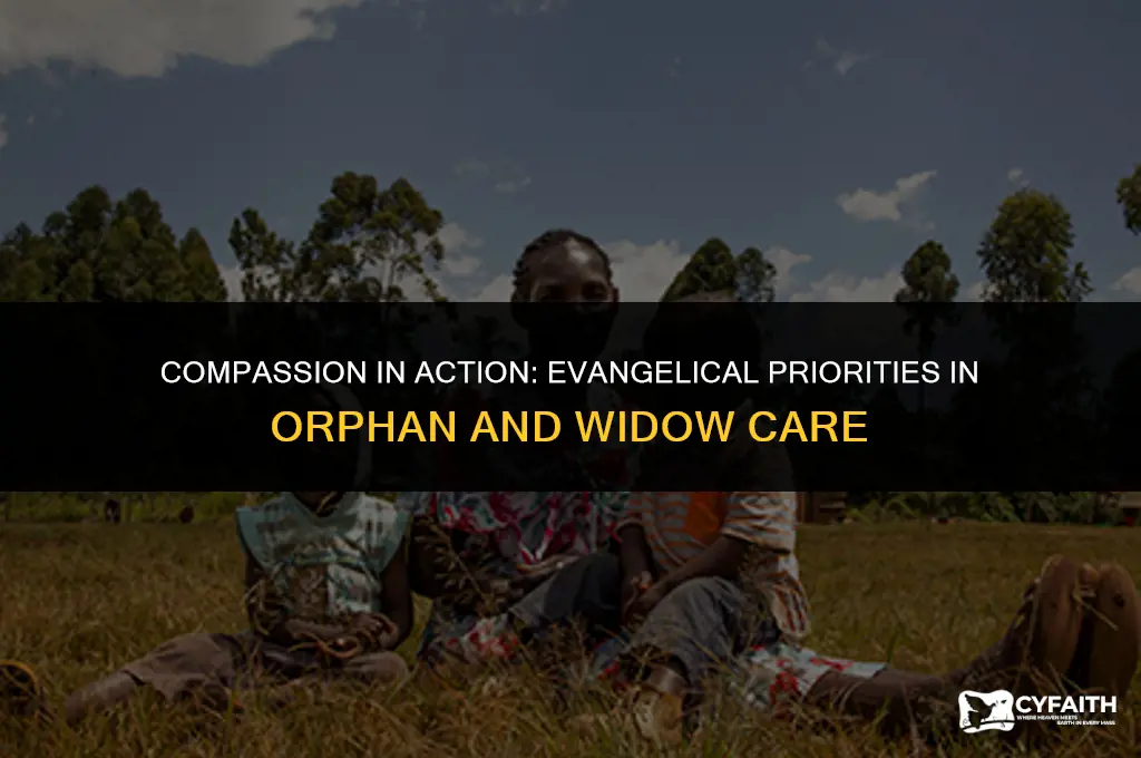 why evangelical focus on orphans and not widows