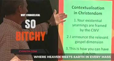 Understanding the Complex Dynamics Behind Evangelical Criticism