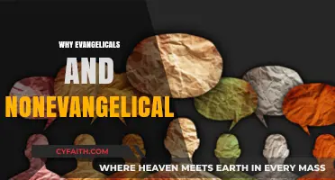Bridging the Divide: Understanding Evangelical and Non-Evangelical Perspectives