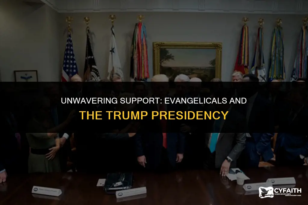 why evangelicals are defending donald trump