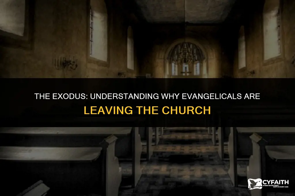 why evangelicals are driving people from the church