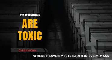 Unraveling the Toxicity: A Critical Look at Evangelical Behavior