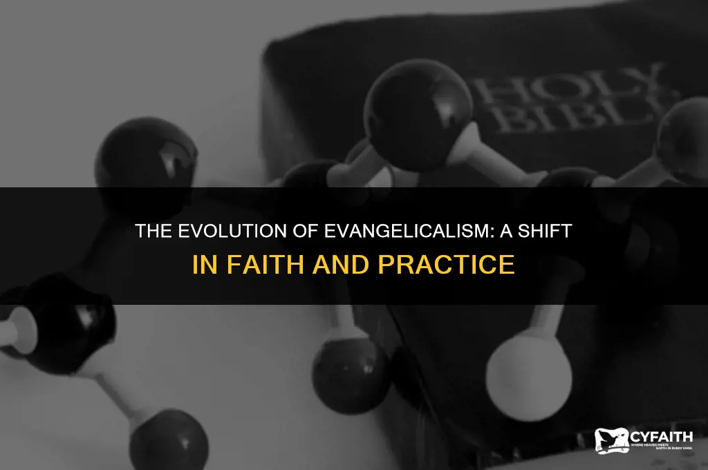 why evangelicals aren