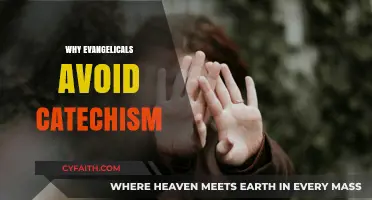 Exploring the Reasons Behind Evangelicals' Catechism Avoidance