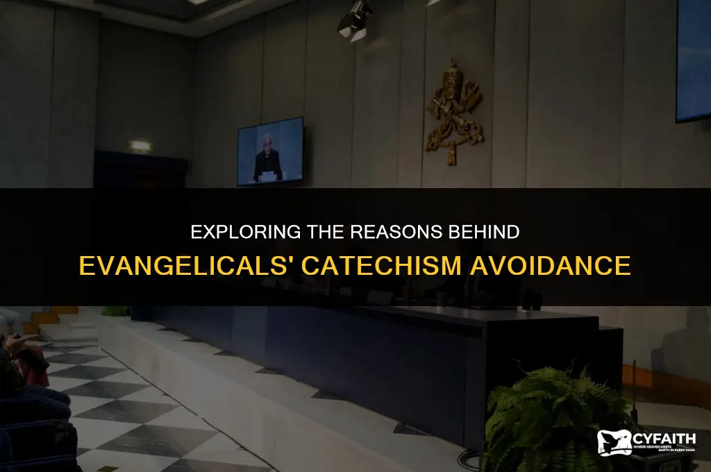 why evangelicals avoid catechism