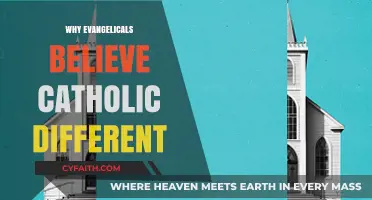 Understanding the Evangelical-Catholic Divide: A Comparative Faith Exploration