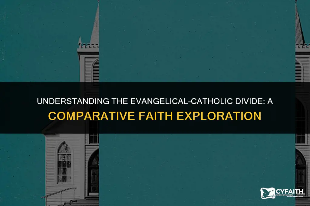 why evangelicals believe catholic different