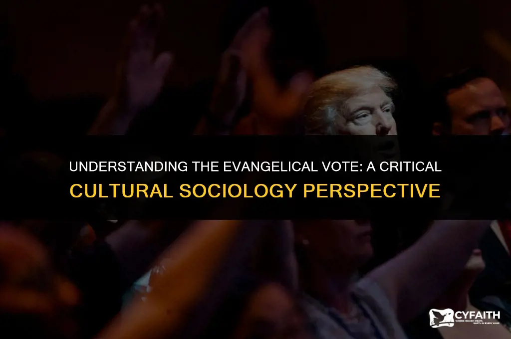 why evangelicals voted for trump a critical cultural sociology
