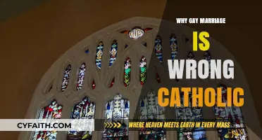 Catholic Teachings on Marriage: Why Same-Sex Unions Are Morally Wrong