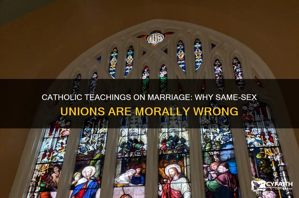 why gay marriage is wrong catholic